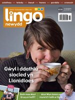 Lingo Newydd